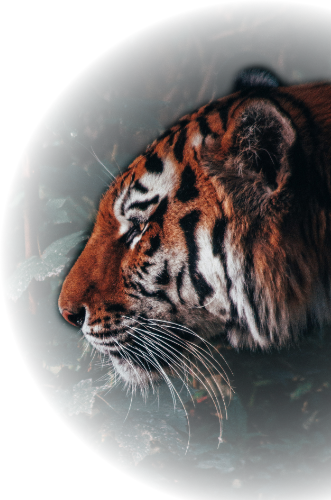 Min/Max Operations Logo